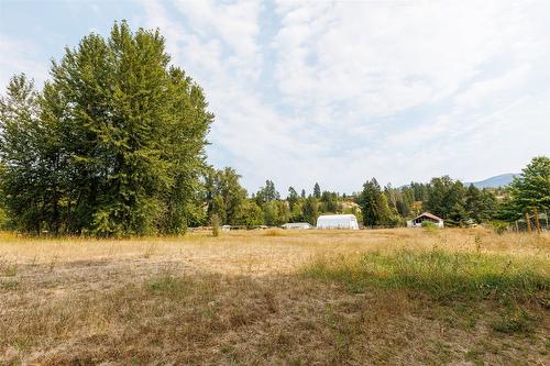 1117 15Th Avenue, Creston, BC - Outdoor With View