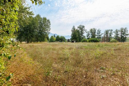 1117 15Th Avenue, Creston, BC - Outdoor With View