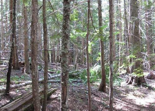 Lot 25 Upper Hills Road, Hills, BC 