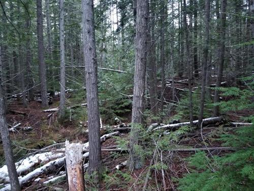 Lot 25 Upper Hills Road, Hills, BC 