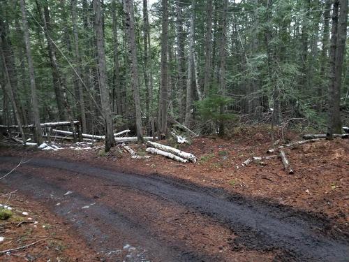 Lot 25 Upper Hills Road, Hills, BC 