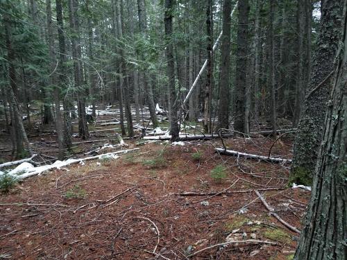 Lot 25 Upper Hills Road, Hills, BC 