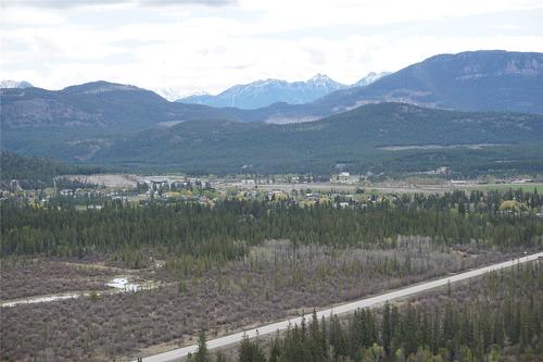 Lot 1 Tamarack Street, Canal Flats, BC 