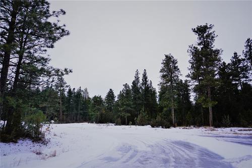 Lot 1 Tamarack Street, Canal Flats, BC 