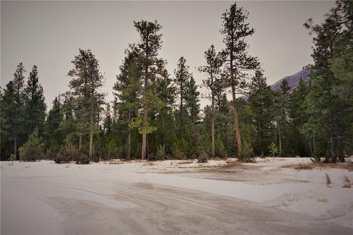 Lot 1 Tamarack Street, Canal Flats, BC 