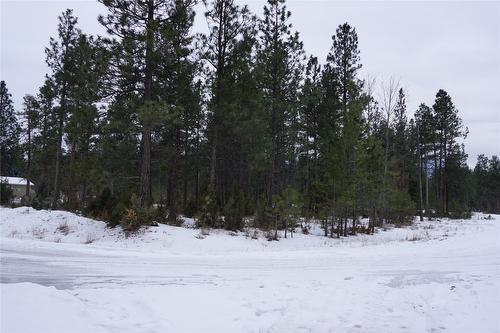 Lot 1 Tamarack Street, Canal Flats, BC 