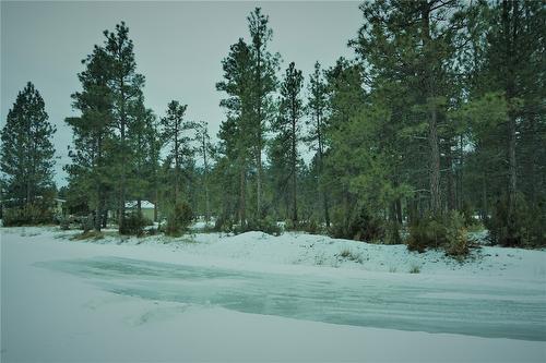 Lot 1 Tamarack Street, Canal Flats, BC 