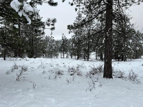 236 Corral Boulevard, Cranbrook, BC - Outdoor