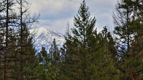 236 Corral Boulevard, Cranbrook, BC - Outdoor With View