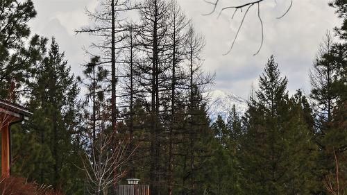 236 Corral Boulevard, Cranbrook, BC - Outdoor With View