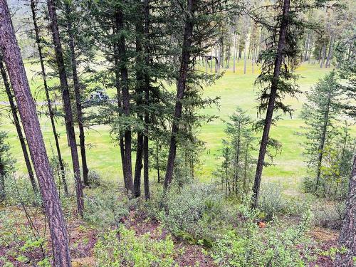 6-7981 Radium Golf Course Road, Radium Hot Springs, BC - Outdoor With View