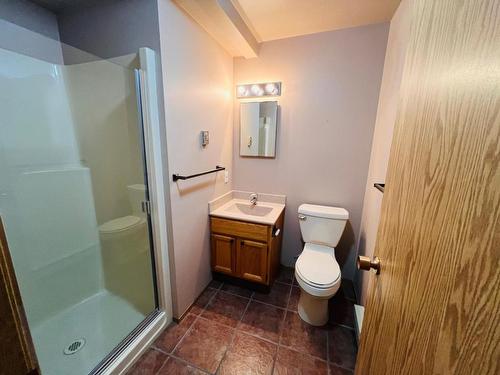 6-7981 Radium Golf Course Road, Radium Hot Springs, BC - Indoor Photo Showing Bathroom