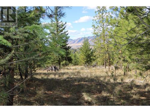 6880 Barnhartvale Road, Kamloops, BC - Outdoor With View