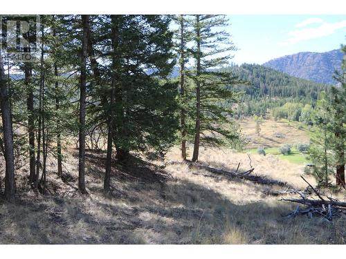 6880 Barnhartvale Road, Kamloops, BC - Outdoor With View