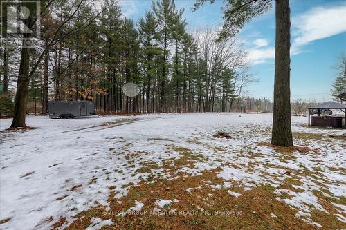 2084 Sunnidale Road, Springwater, ON - Outdoor