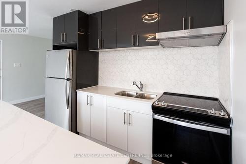 207 - 371 Lakeshore Road W, Mississauga, ON - Indoor Photo Showing Kitchen With Double Sink