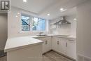 Lower - 30 Manning Avenue, Toronto, ON  - Indoor Photo Showing Kitchen With Double Sink 