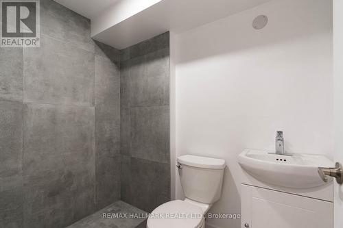 Lower - 30 Manning Avenue, Toronto, ON - Indoor Photo Showing Bathroom