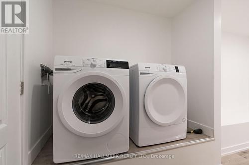 Lower - 30 Manning Avenue, Toronto, ON - Indoor Photo Showing Laundry Room