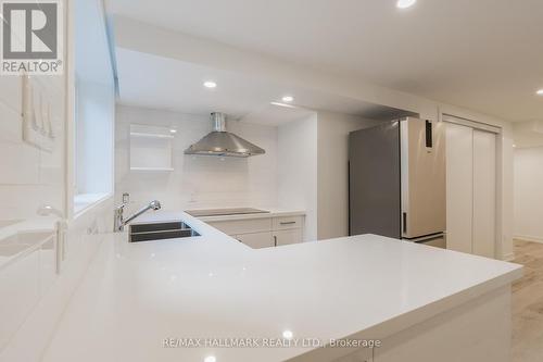 Lower - 30 Manning Avenue, Toronto, ON - Indoor Photo Showing Kitchen With Double Sink