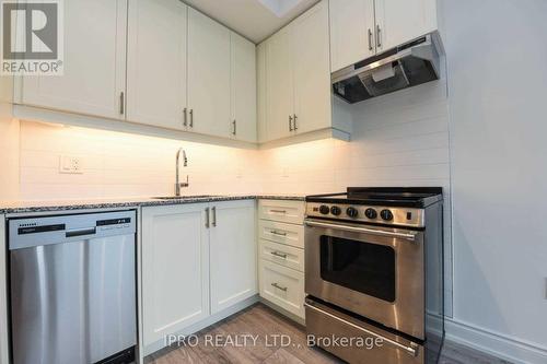 223 - 1050 Main Street E, Milton, ON - Indoor Photo Showing Kitchen With Stainless Steel Kitchen With Upgraded Kitchen