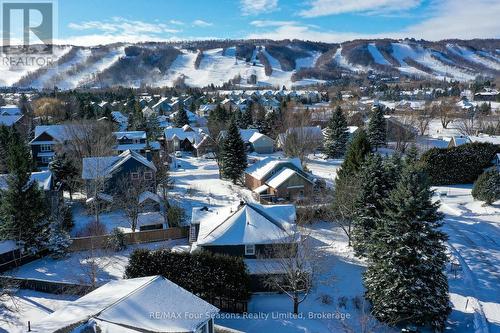 108 Liisa'S Lane, Blue Mountains (Blue Mountain Resort Area), ON - Outdoor With View