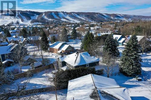 108 Liisa'S Lane, Blue Mountains (Blue Mountain Resort Area), ON - Outdoor With View