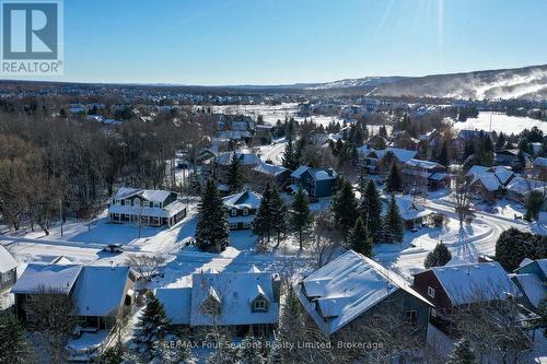 108 Liisa'S Lane, Blue Mountains (Blue Mountain Resort Area), ON - Outdoor With View