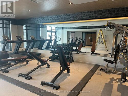 323 - 490 Gordon Krantz Ave, Milton, ON - Indoor Photo Showing Gym Room