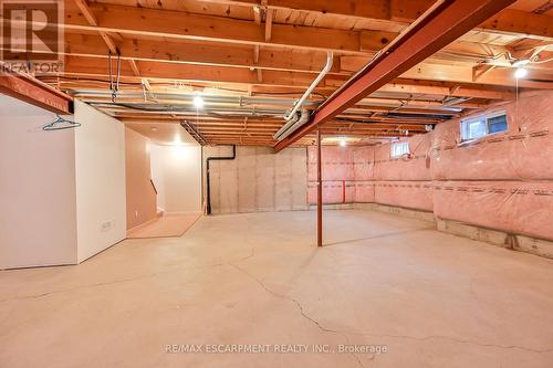 54 Greentrail Drive, Hamilton, ON - Indoor Photo Showing Basement