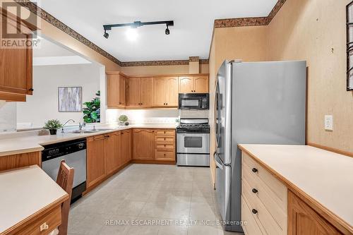 54 Greentrail Drive, Hamilton, ON - Indoor Photo Showing Kitchen With Double Sink