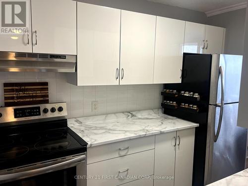 702 - 1105 Jalna Boulevard, London, ON - Indoor Photo Showing Kitchen