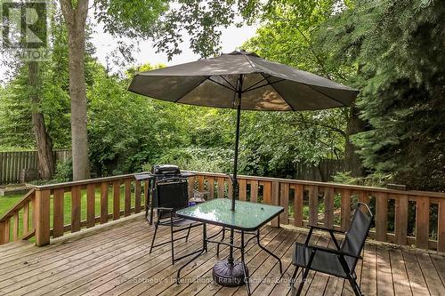 300 Minnesota Street, Collingwood, ON - Outdoor With Deck Patio Veranda With Exterior