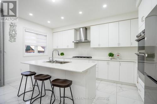 158 Agro Street, Hamilton, ON - Indoor Photo Showing Kitchen With Double Sink With Upgraded Kitchen