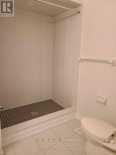 488 Black Cherry Crescent, Shelburne, ON - Indoor Photo Showing Bathroom