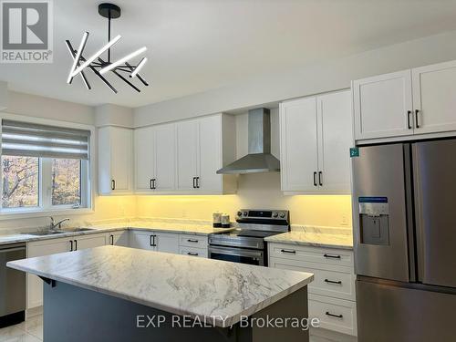 488 Black Cherry Crescent, Shelburne, ON - Indoor Photo Showing Kitchen With Stainless Steel Kitchen