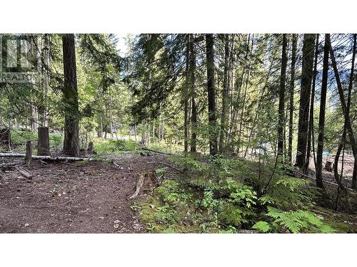 Lot 157 Estate Place, Anglemont, BC 