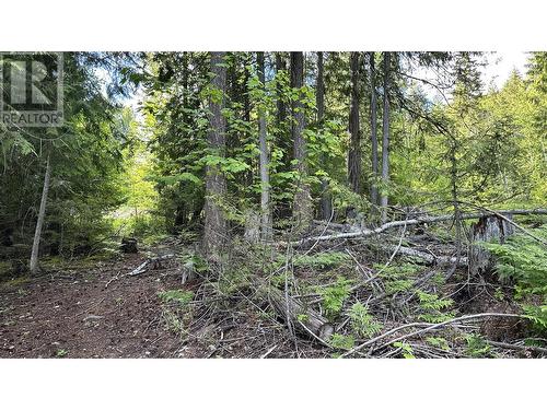 Lot 157 Estate Place, Anglemont, BC 