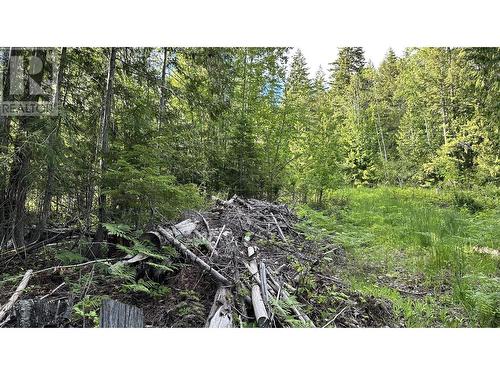 Lot 157 Estate Place, Anglemont, BC 