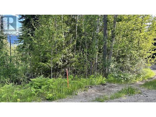 Lot 157 Estate Place, Anglemont, BC 