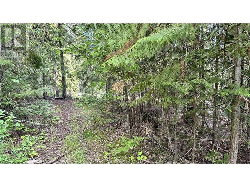 Lot 157 Estate Place, Anglemont, BC 