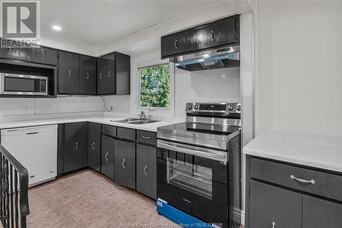 2032 Ford Boulevard, Windsor, ON - Indoor Photo Showing Kitchen With Double Sink