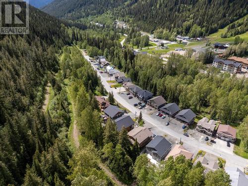 1365 Burfield Drive, Sun Peaks, BC - Outdoor With View