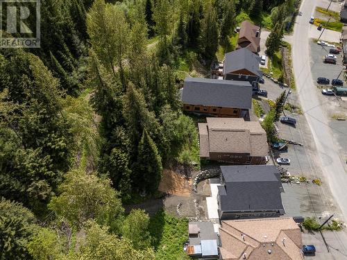 1365 Burfield Drive, Sun Peaks, BC - Outdoor With View