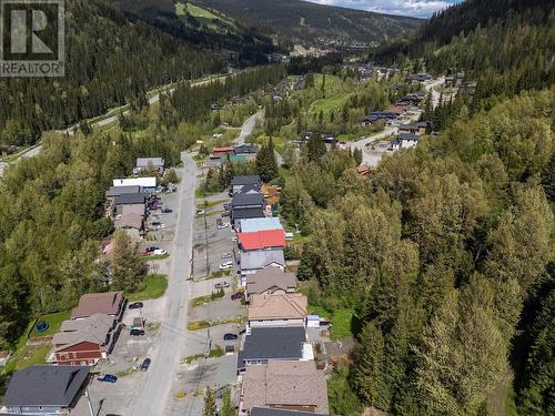 1365 Burfield Drive, Sun Peaks, BC - Outdoor With View