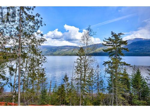 5600 Adams West Fsr Unit# Lot 1, Adams Lake, BC - Outdoor With Body Of Water With View