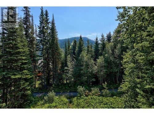 4101 Sundance Drive, Sun Peaks, BC - Outdoor With View