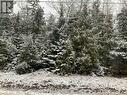 Lot 11 Norburn Road, Northern Bruce Peninsula, ON 