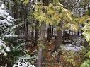 Lot 11 Norburn Road, Northern Bruce Peninsula, ON 