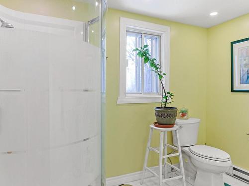 Salle de bains - 19 Rue Boyer, Saint-Isidore, QC - Indoor Photo Showing Bathroom